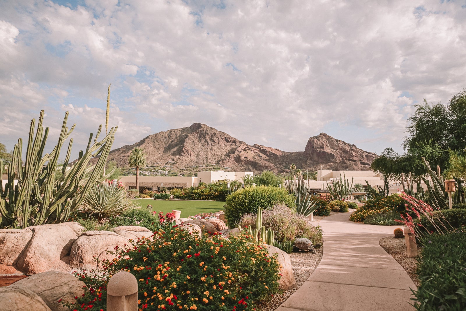 JW Marriott Scottsdale