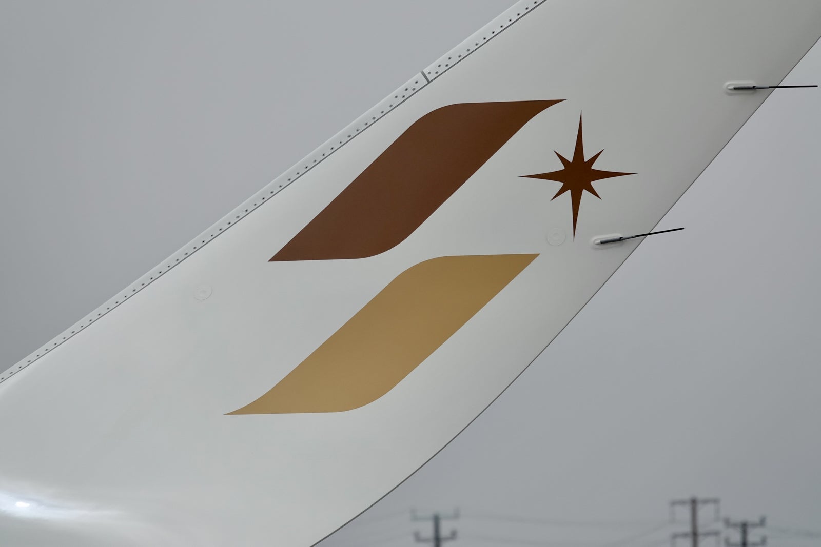 starlux tail