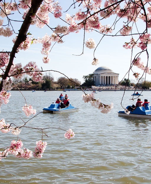 People In Boats On Tidal Basin