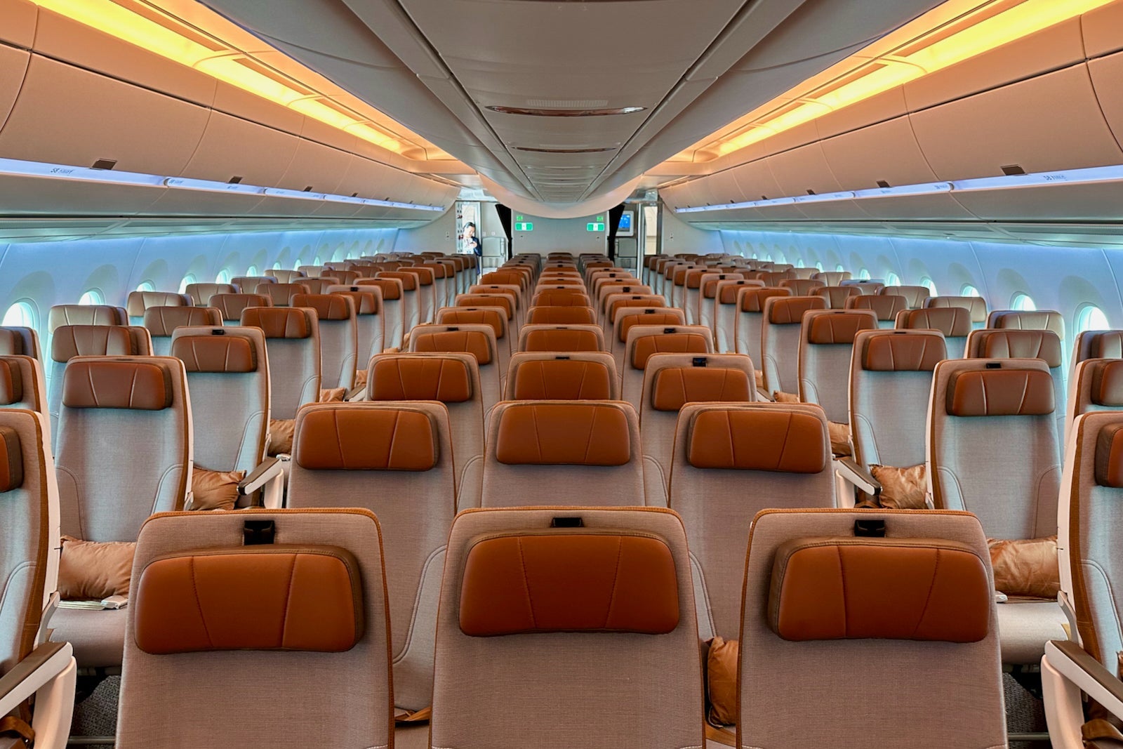 Starlux Airlines: First look at premium economy, economy cabins on the  Airbus A350 - The Points Guy