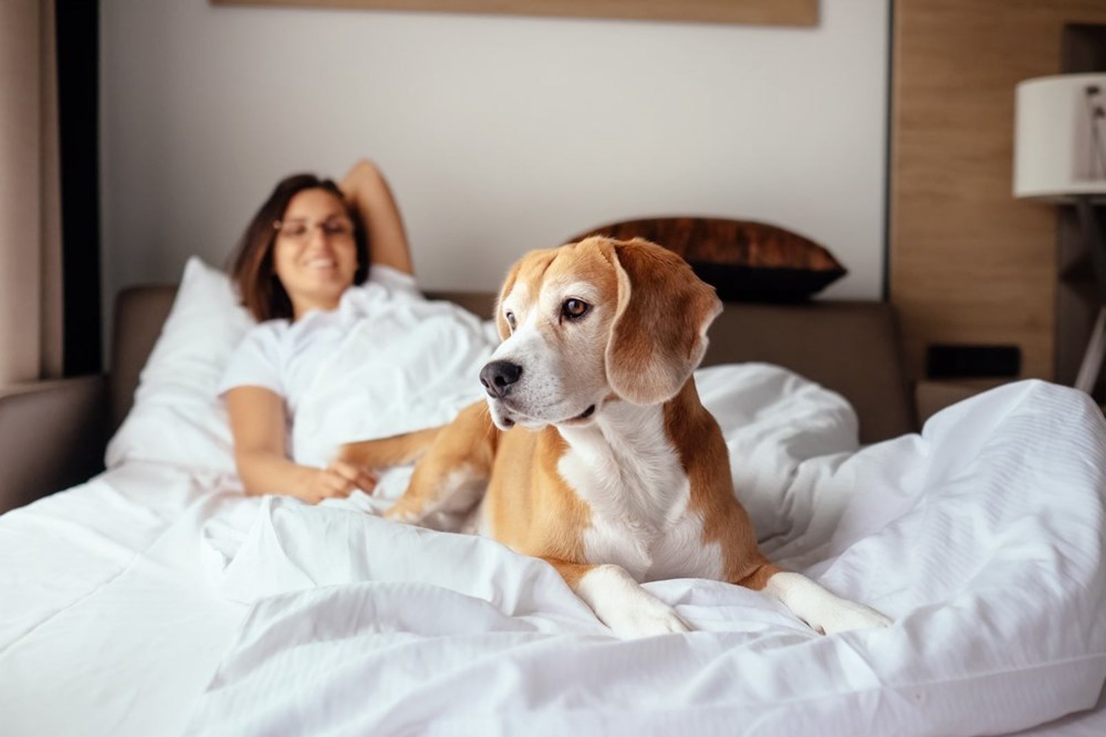 dog and woman in hotel bed