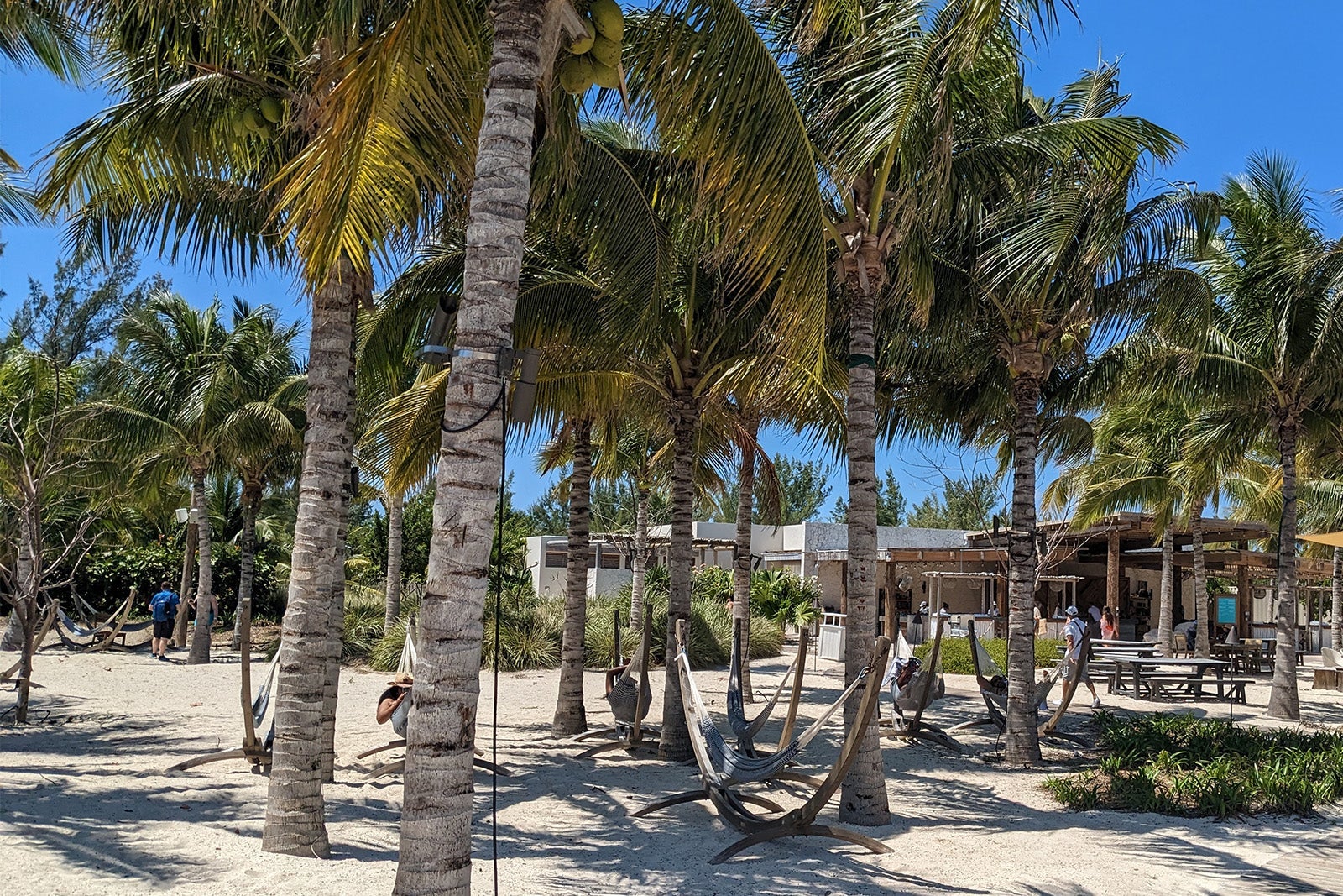 Hammocks amid palm trees on a Bahamian beach