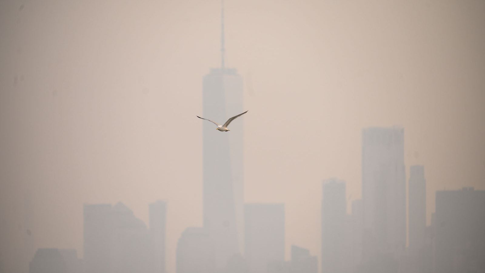 US-CANADA-FIRES-SMOG