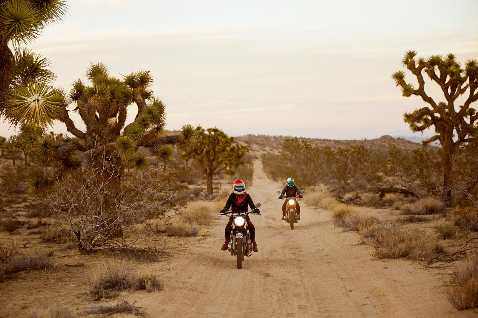 UMVA Uncovers: America's Hidden Gems Exposed - 8 Jaw-Dropping National Park Road Trips You Can't Miss!