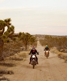 8 best road trips for visiting national parks