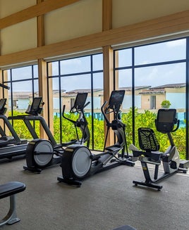 Hilton Maldives Amingiri gym