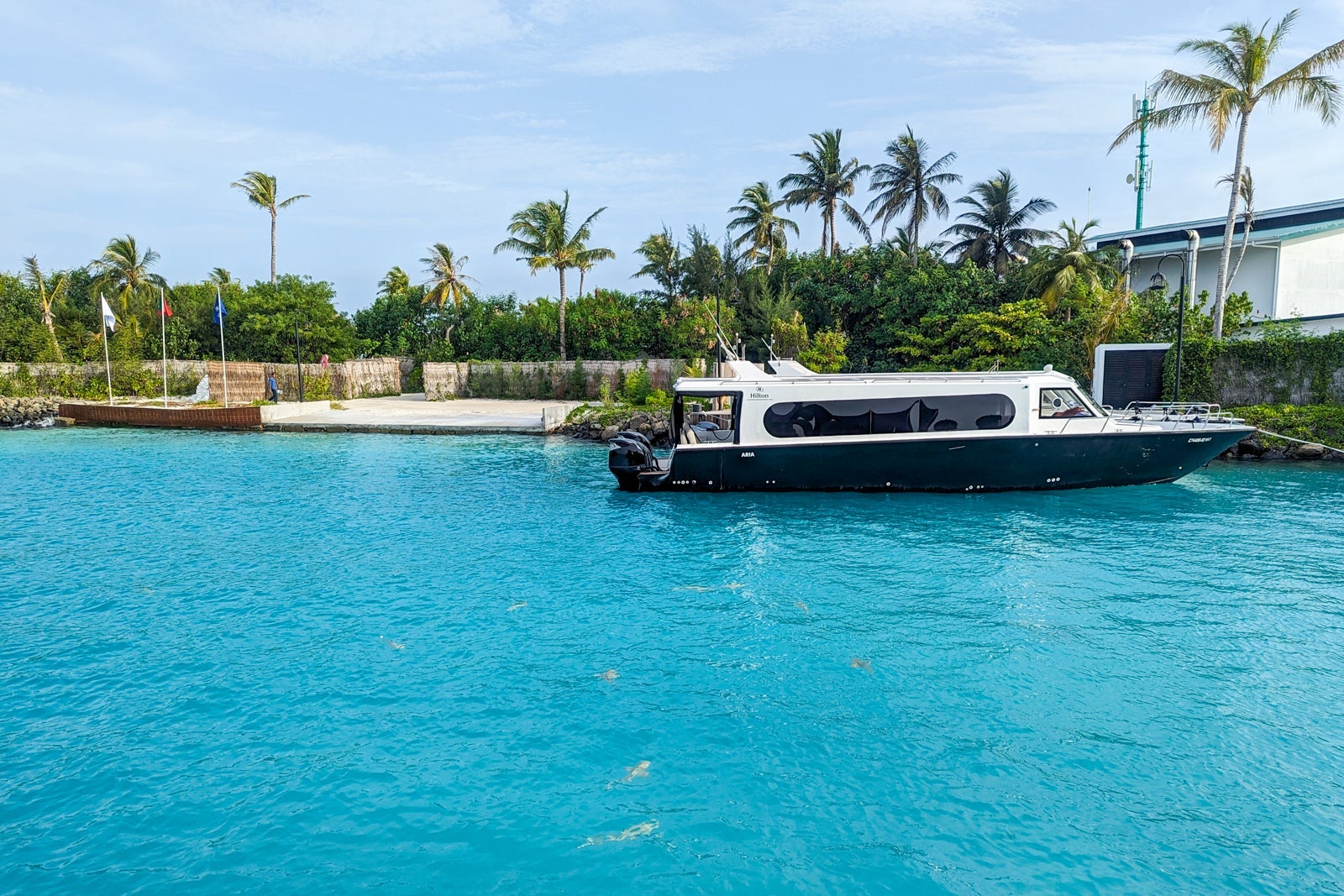 Hilton Maldives Amingiri sharks