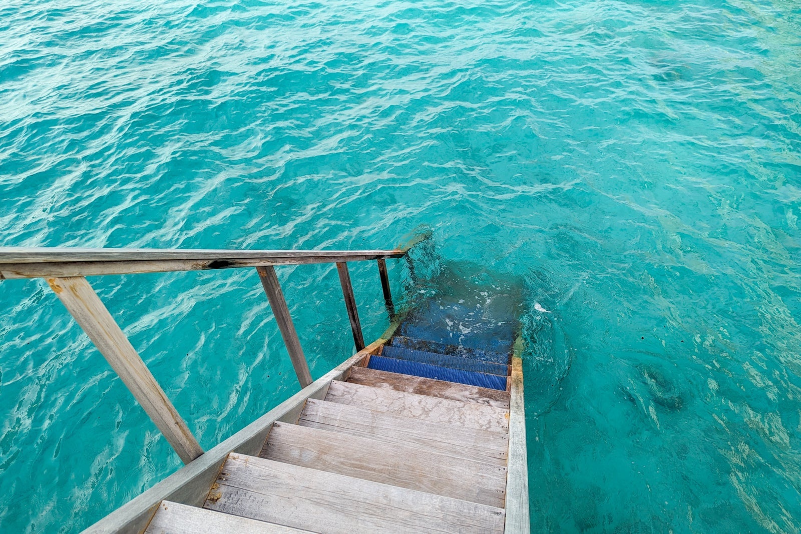 Hilton Maldives Amingiri snorkeling