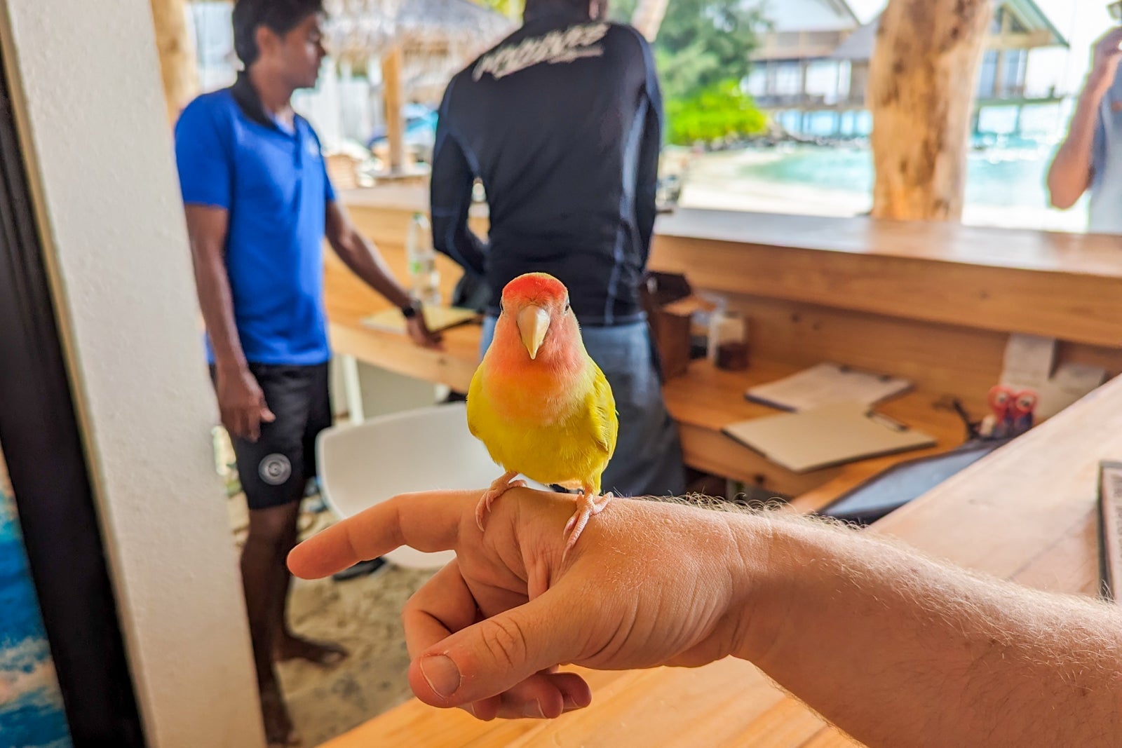 Simba at the water sports hut