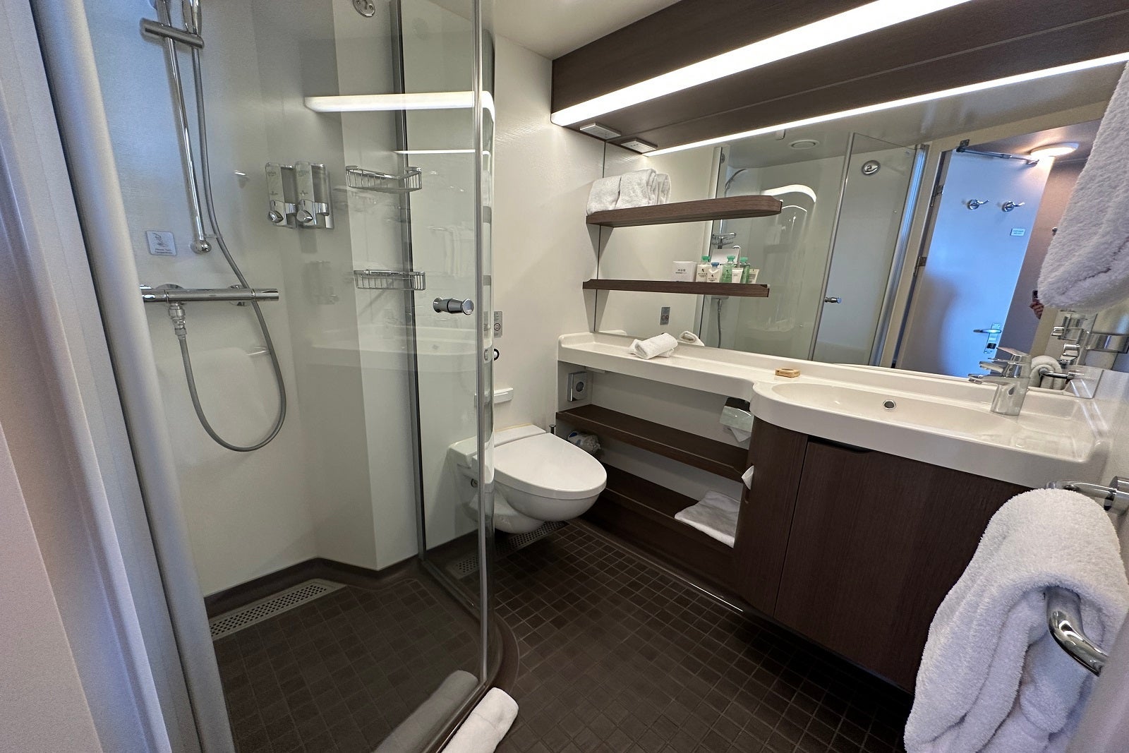 The bathroom in a balcony cabin on a cruise ship