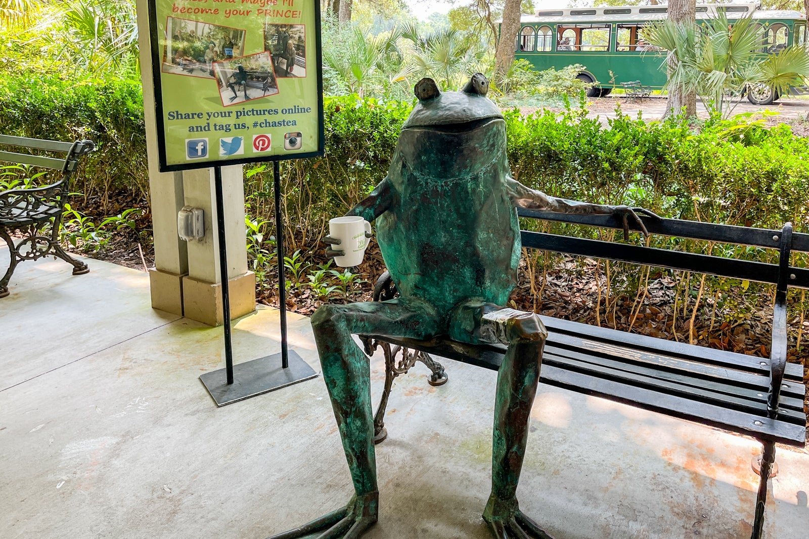 Charleston Tea Plantation and Gardens