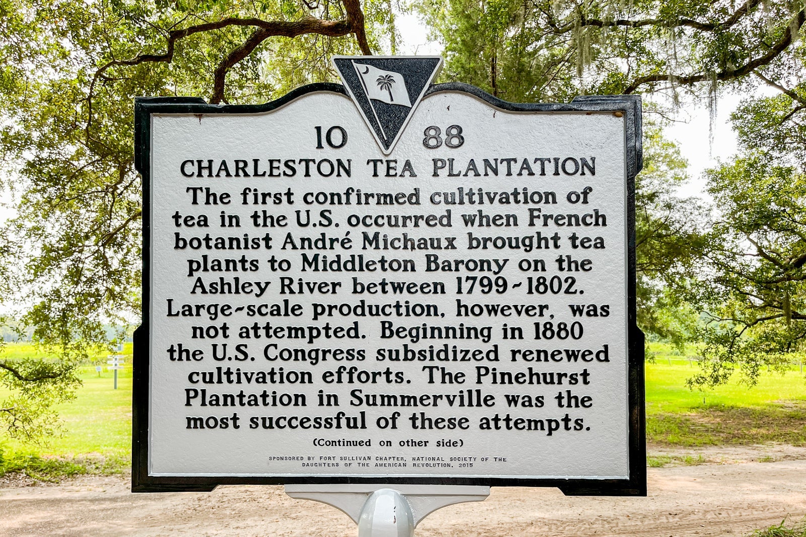 Charleston Tea Plantation and Gardens