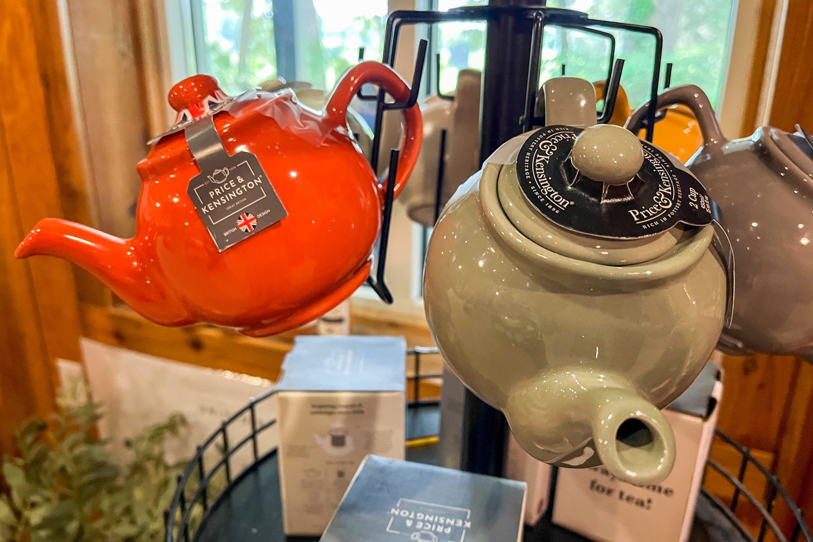 Charleston Tea Plantation and Gardens