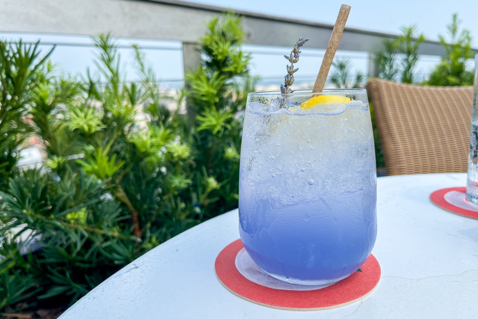 Cocktail at Citrus Club rooftop bar at Dewberry Charleston