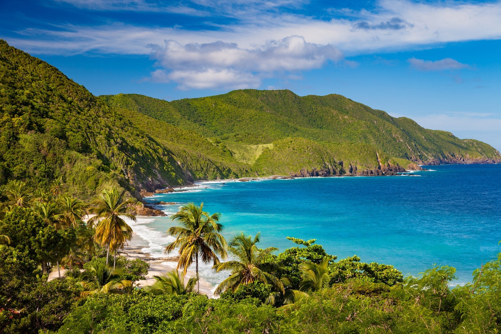 panoramic view of Carambola Beach, St.Croix, US Virgin Islands