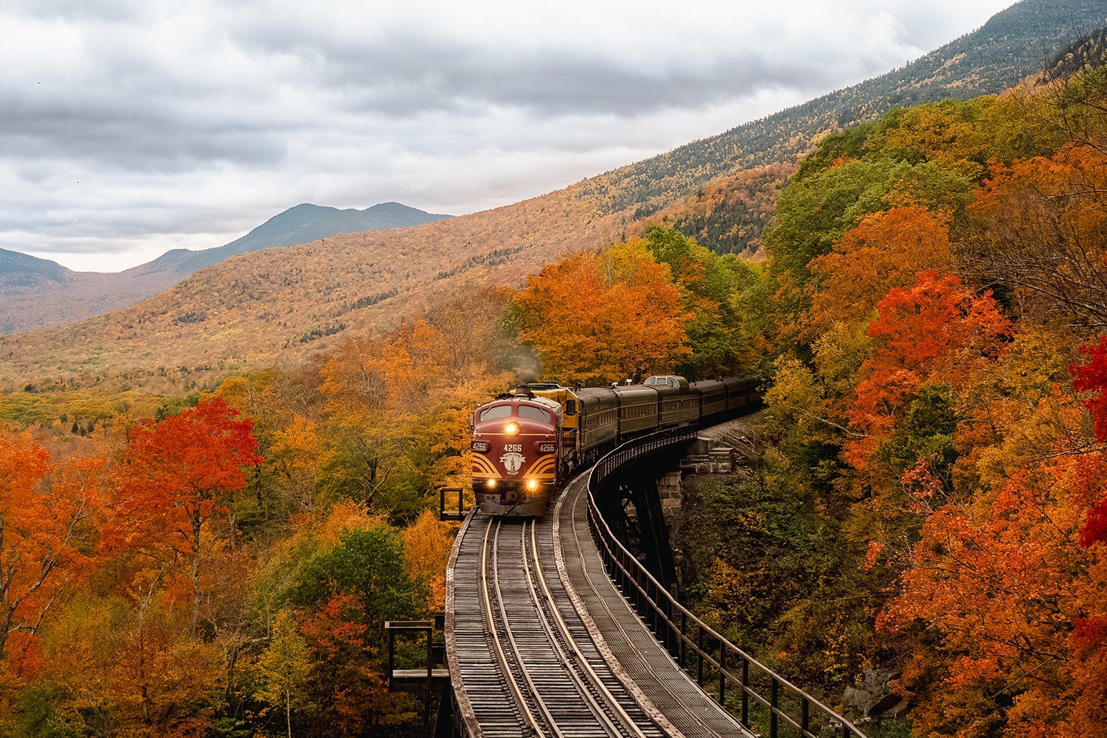 A train driving through fall foliage