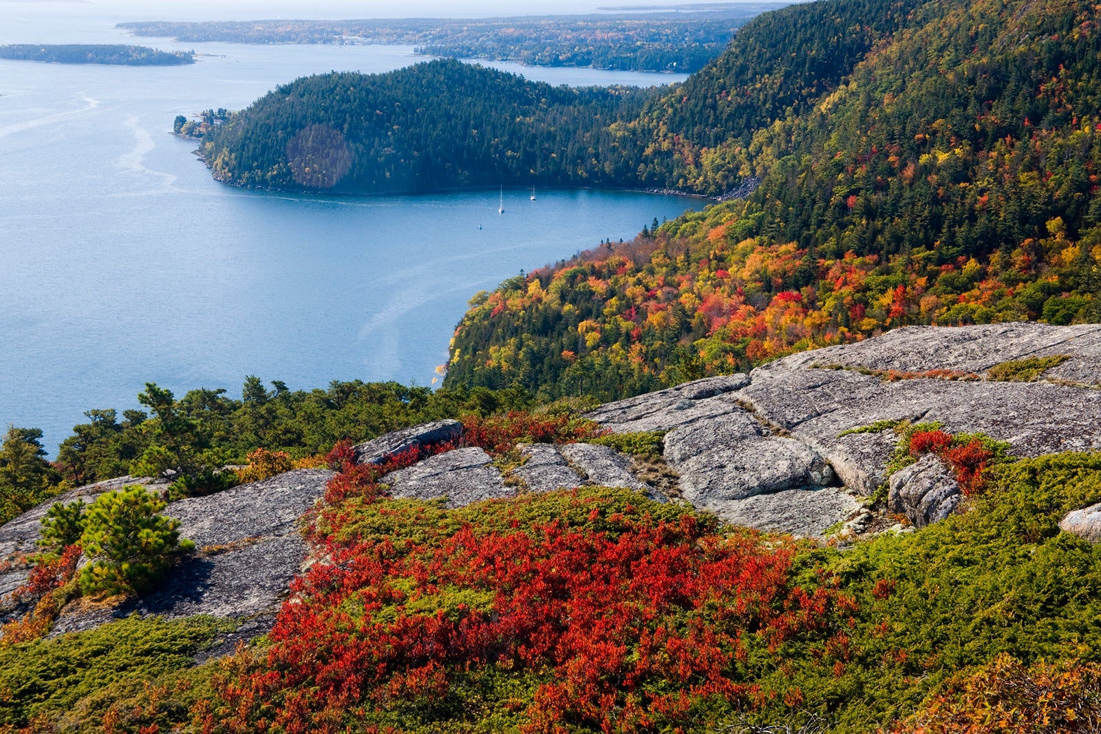 Acadia National Park during the fall