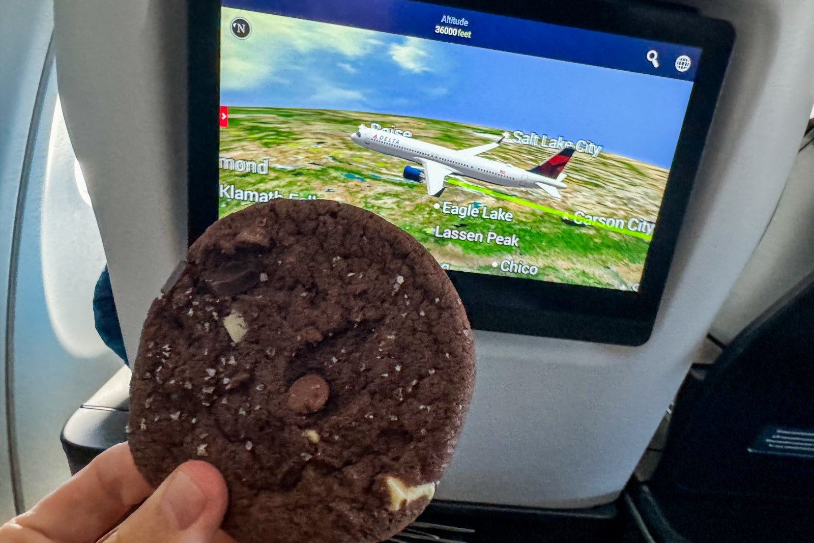 Food and snacks on Delta flight