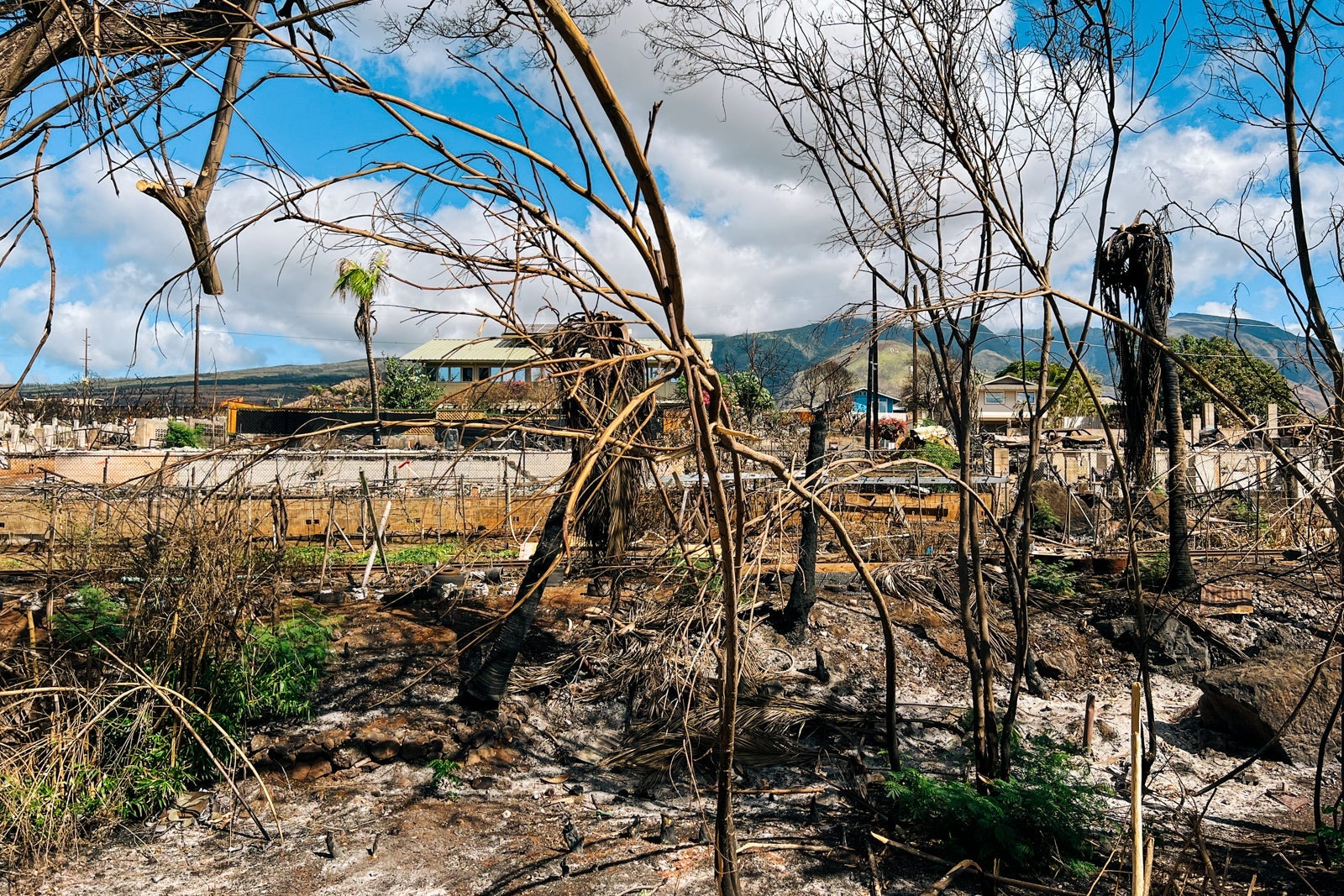 Fire damage in Lahaina, Maui