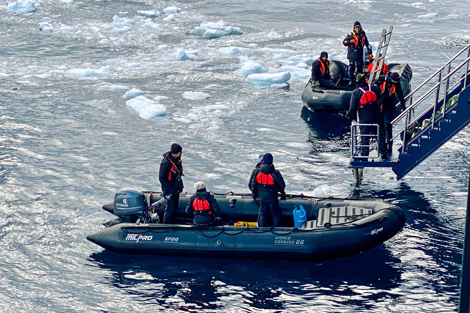A polar plunge in Antarctica