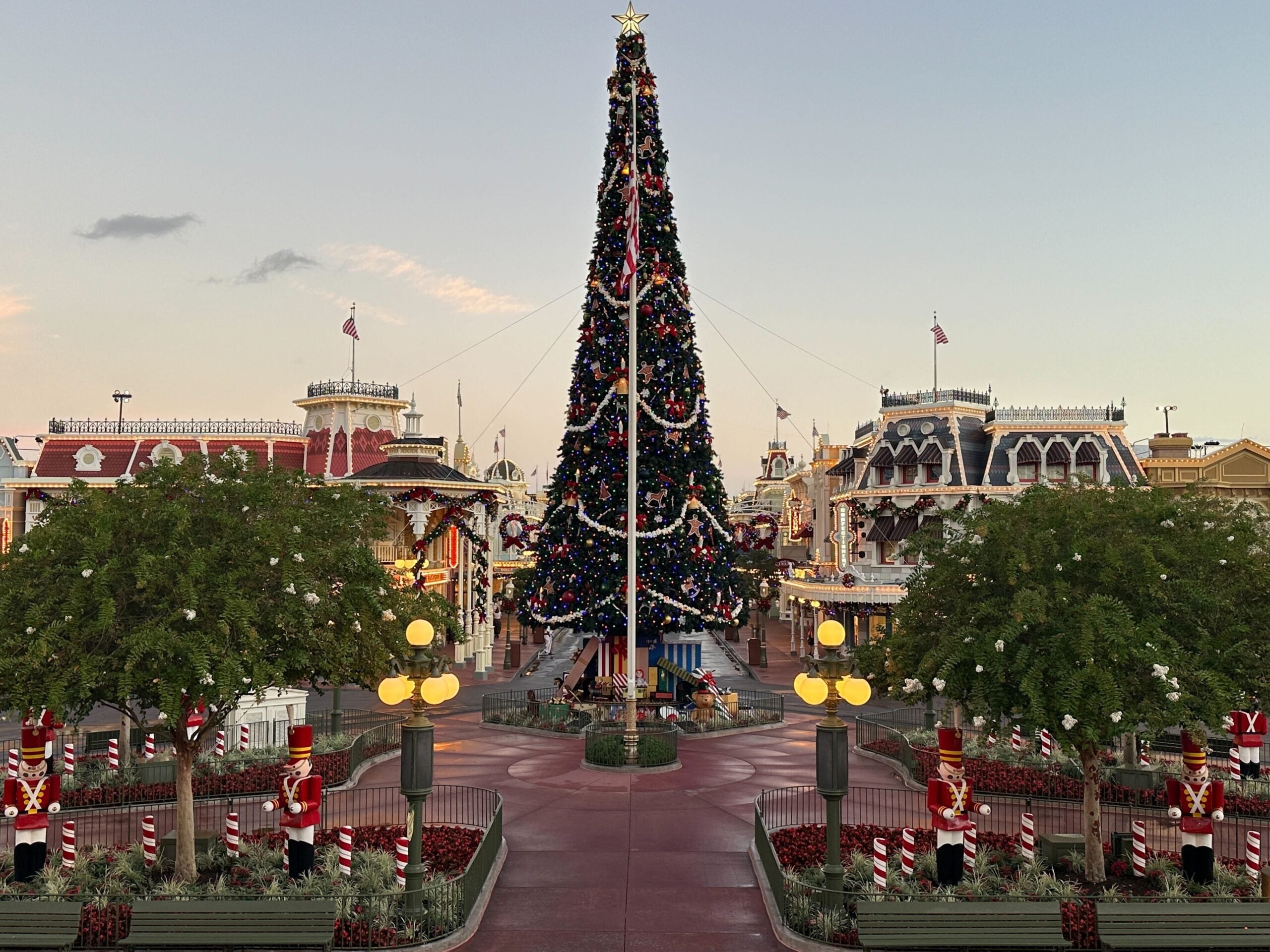 Christmas tree at the Magic Kingdom