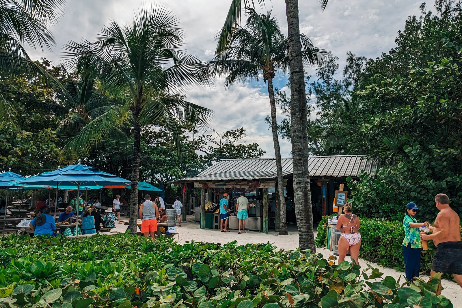Small building set against palm trees serving lunch with picnic tables outside