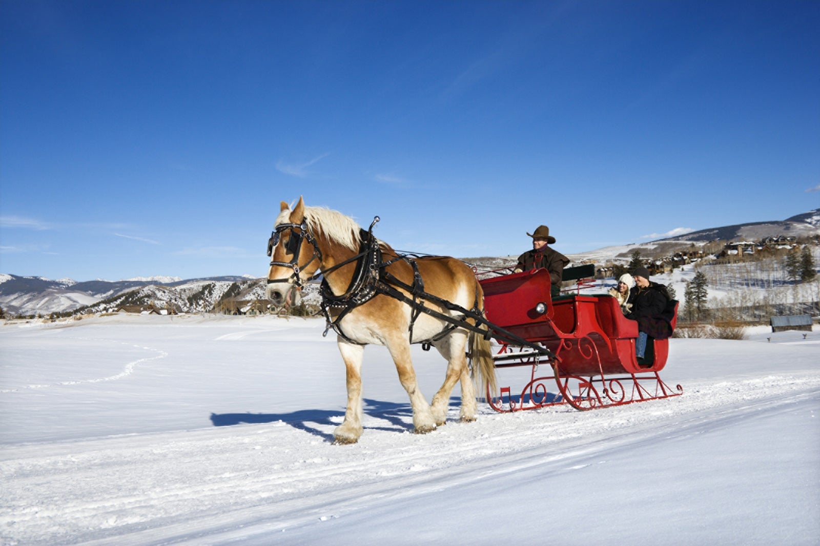 Horse-drawn carriage ride in the snow at Four Seasons