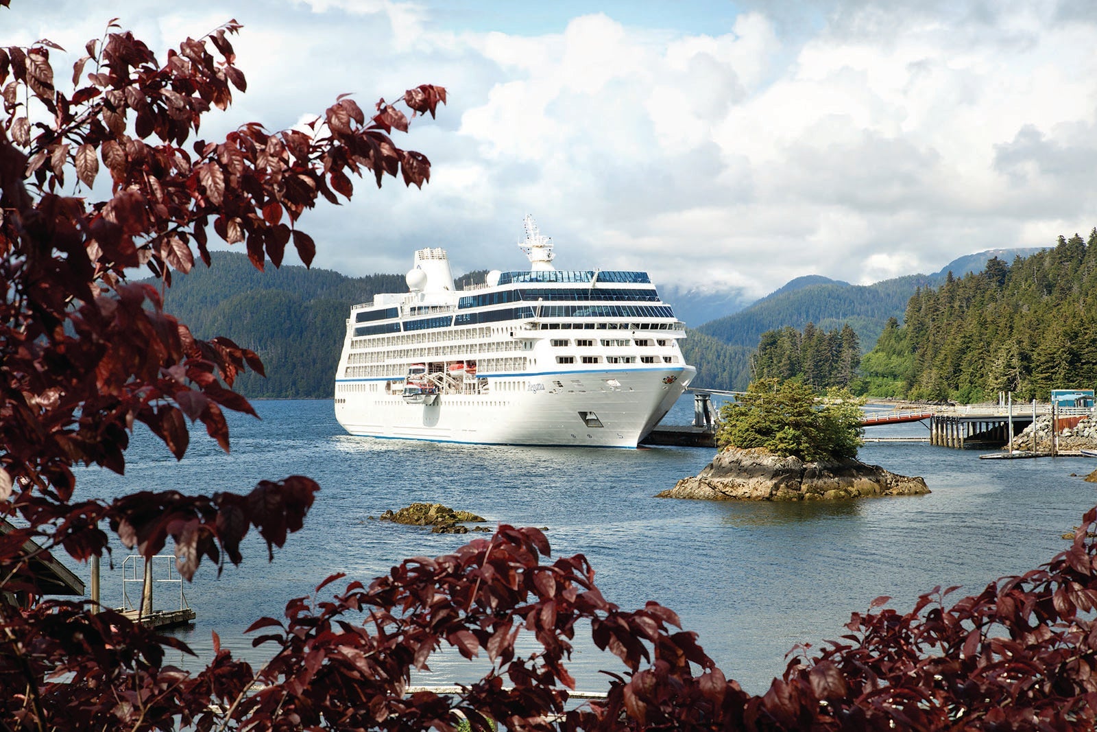 A view of a docked cruise ship from behind the maroon leaves of a tree