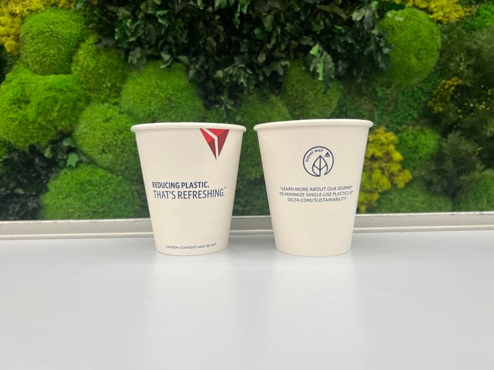 delta paper cups
