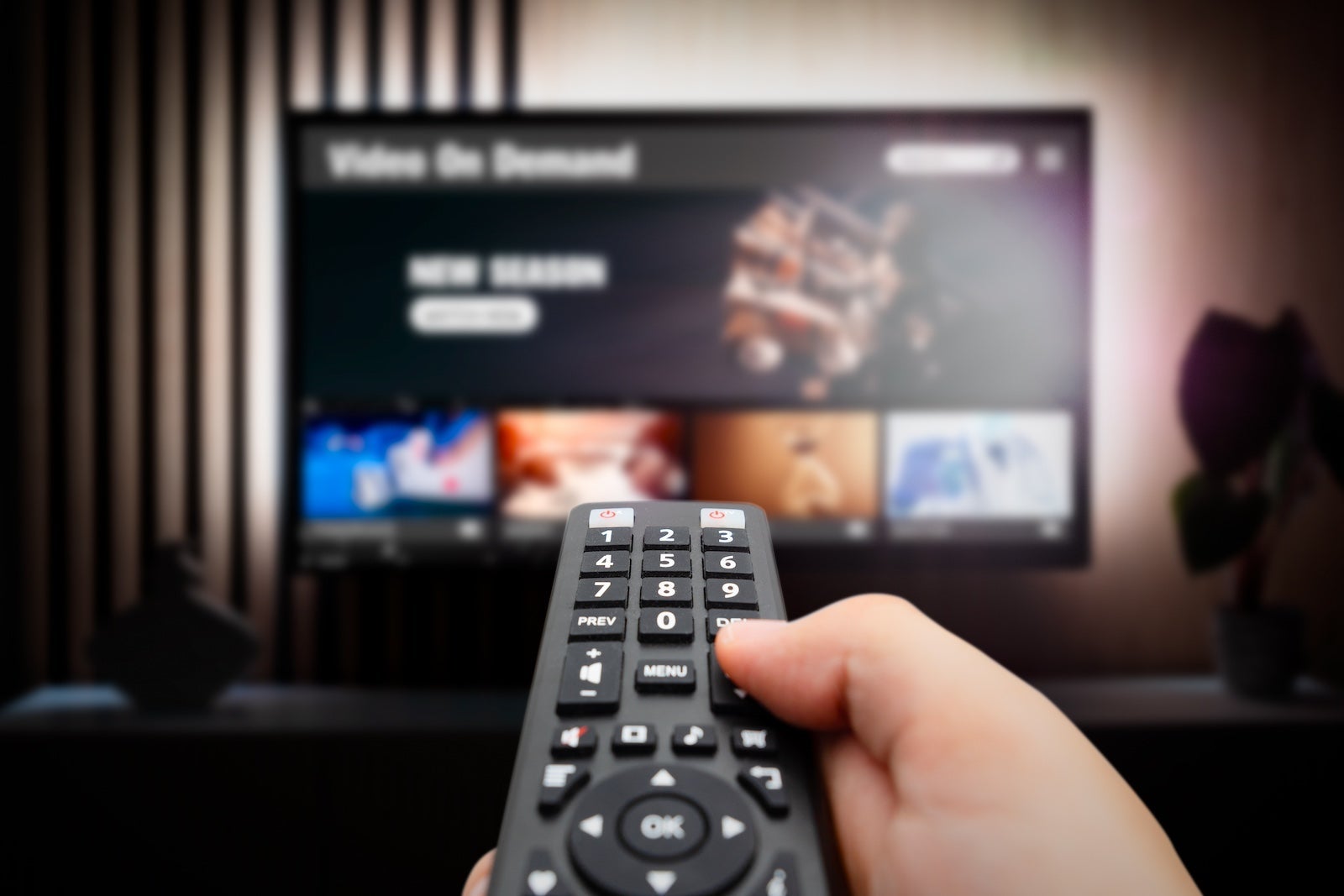 Person pointing a remote at the T.V.