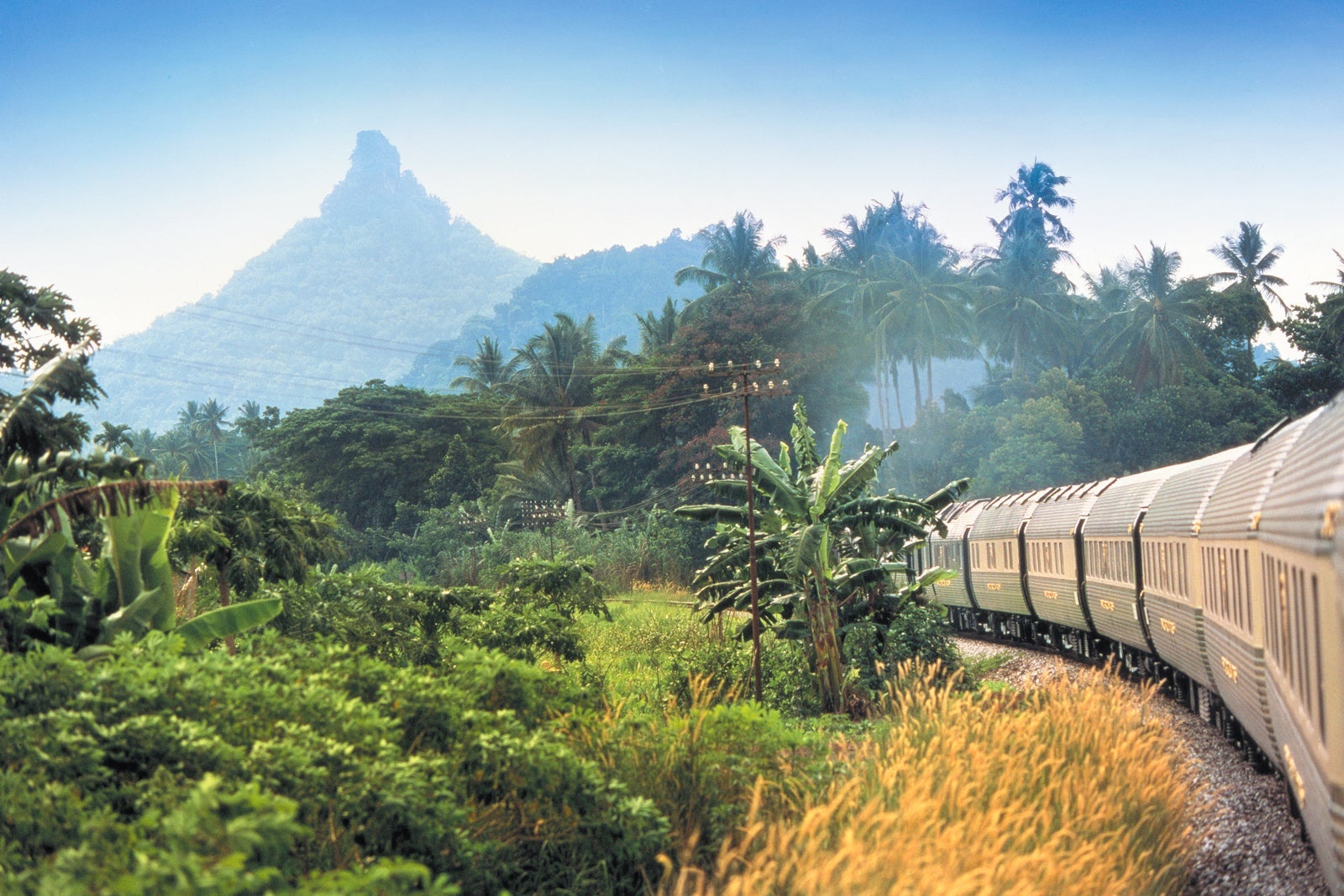 train passing through jungle scenery