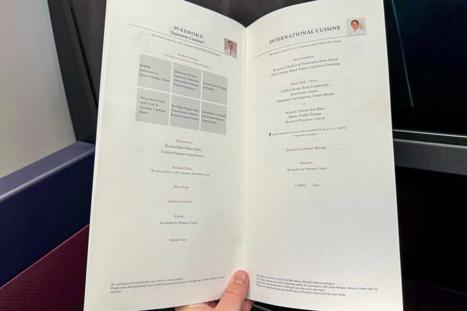 Food on Japan Airlines Inaugural