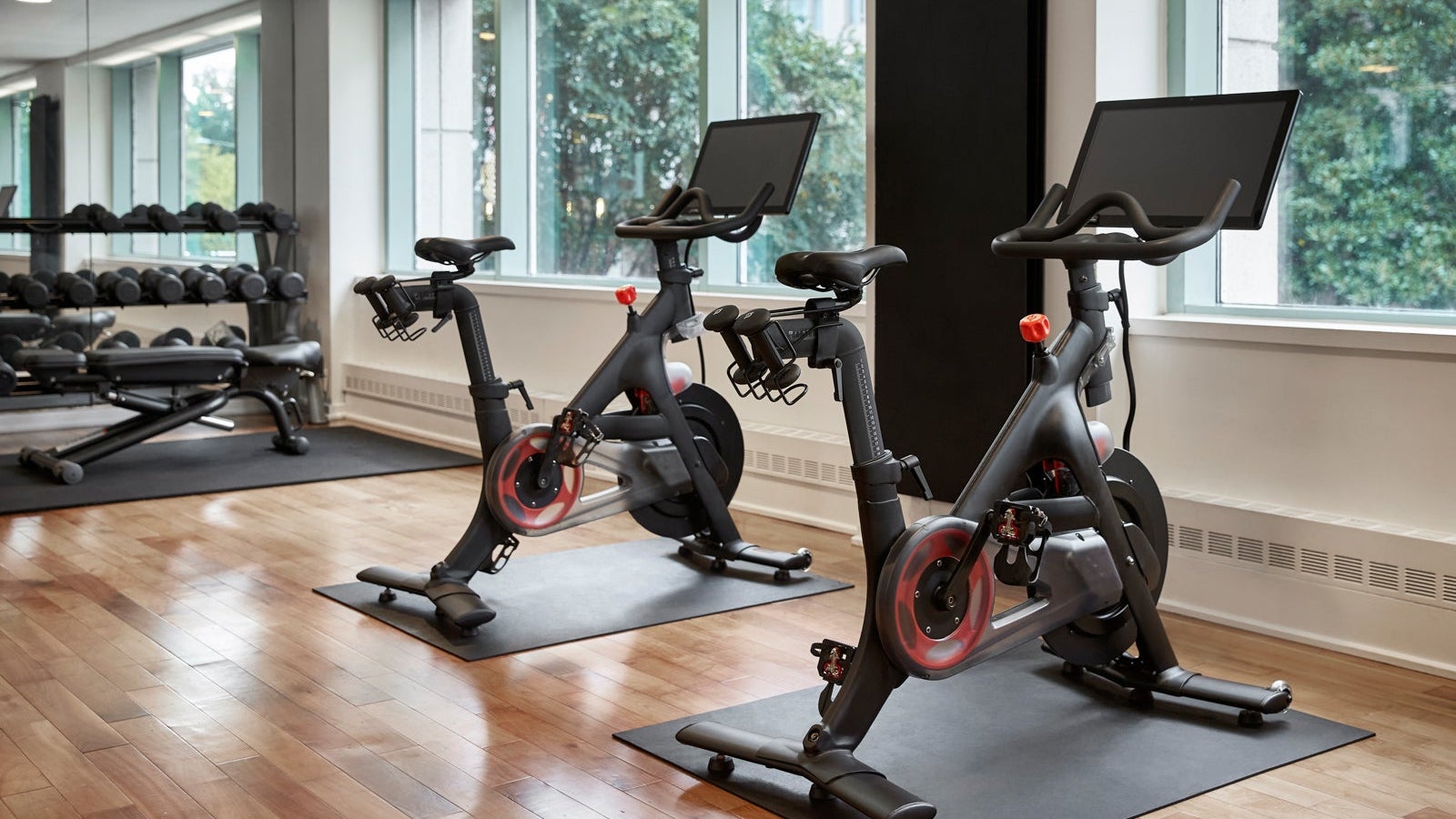 WASPH_P0333 Fitness Center Bike