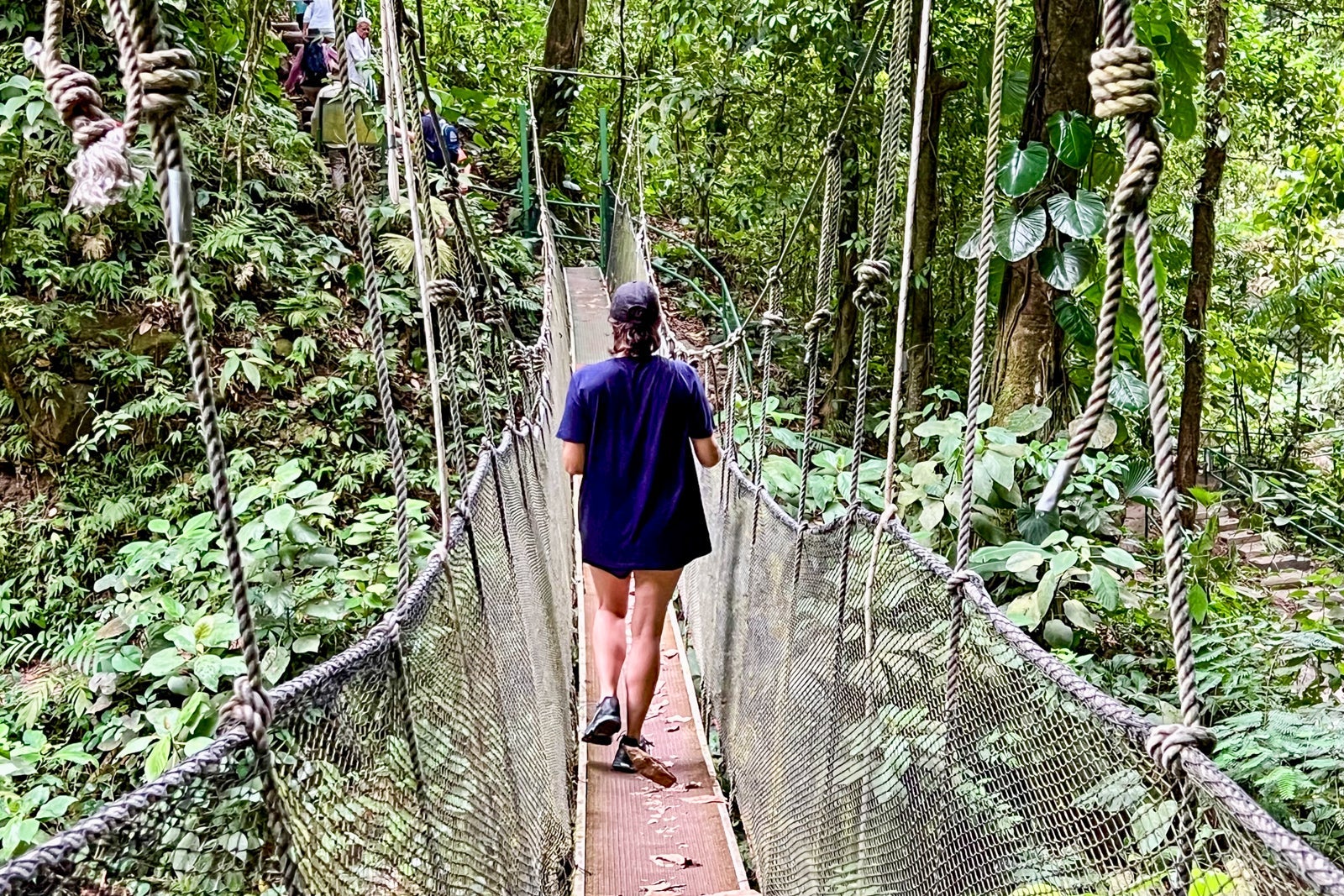 Rainmaker rainforest walk