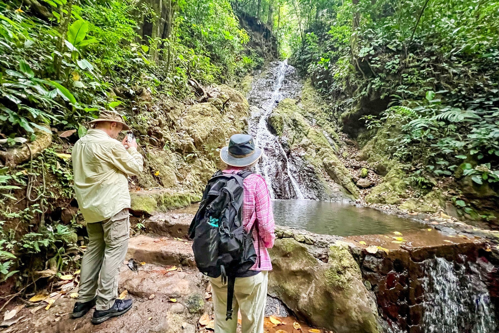 Rainmaker rainforest walk