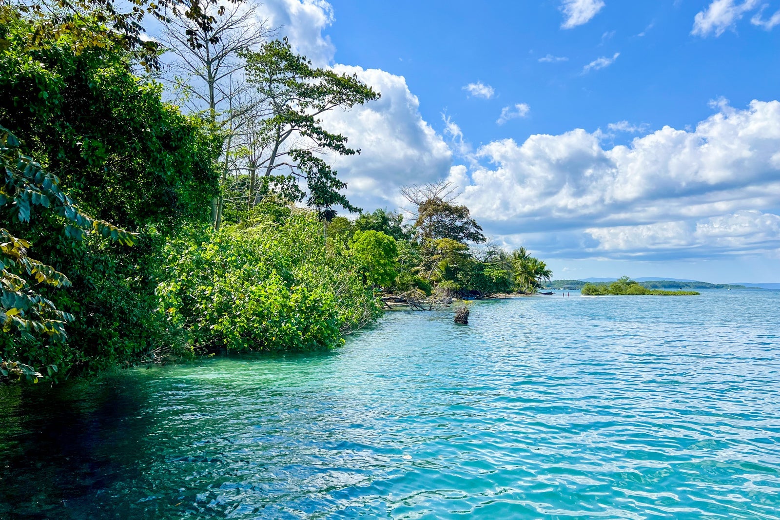 The Costa Rica coast