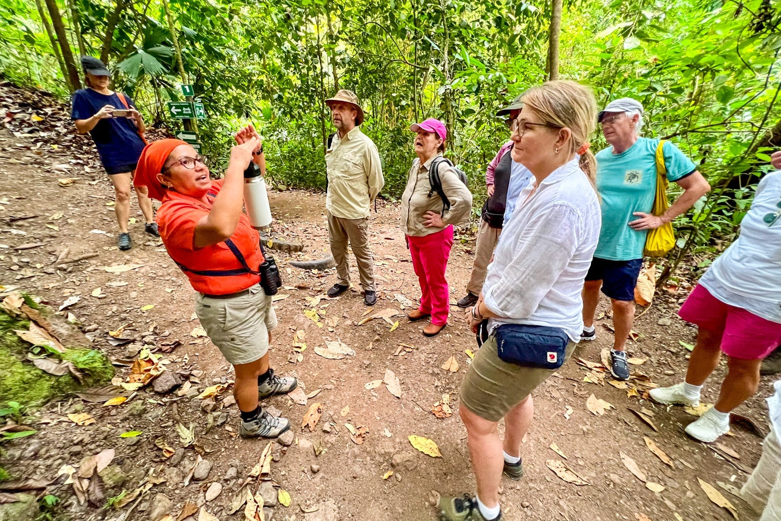 Rainmaker rainforest walk