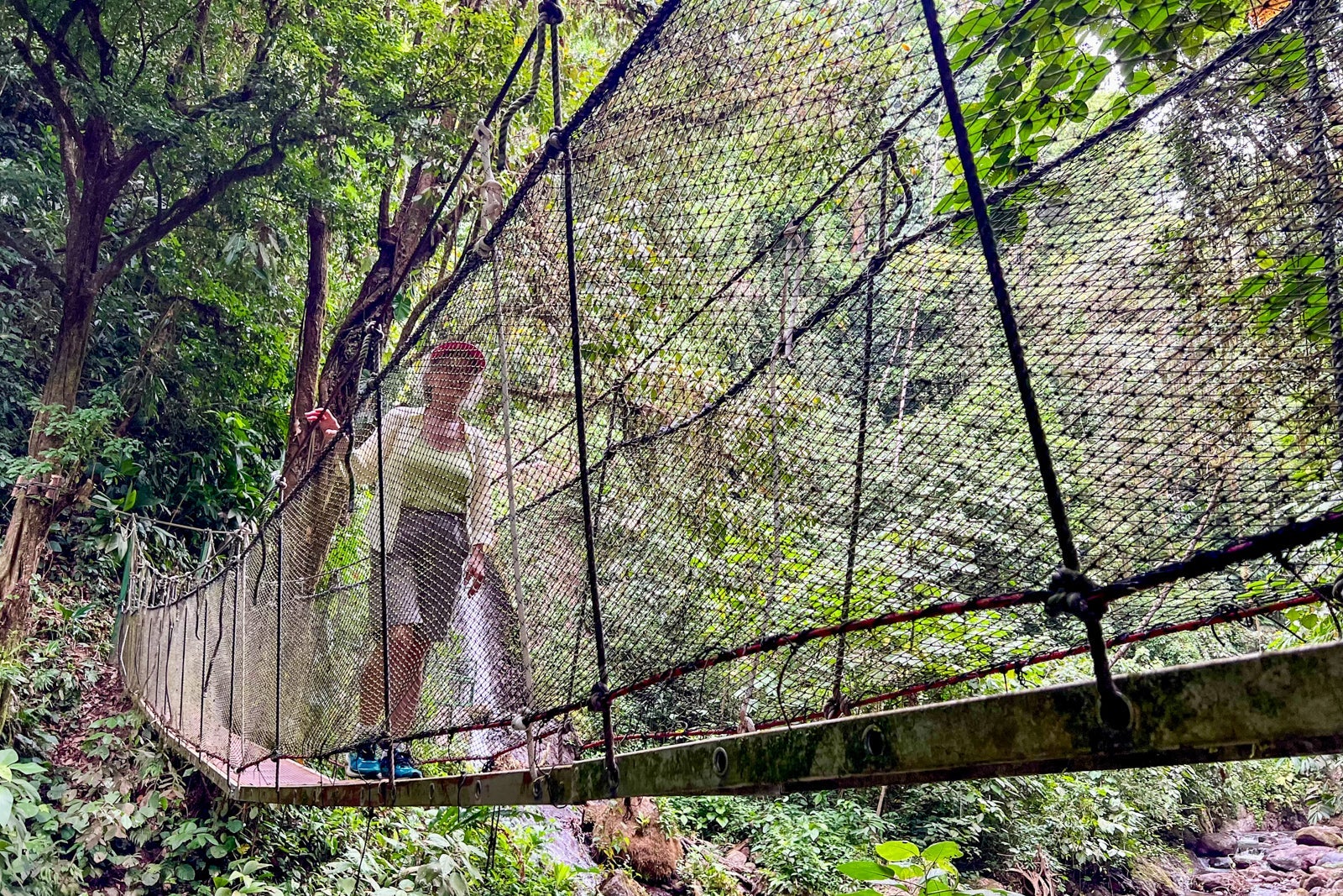 Rainmaker rainforest walk
