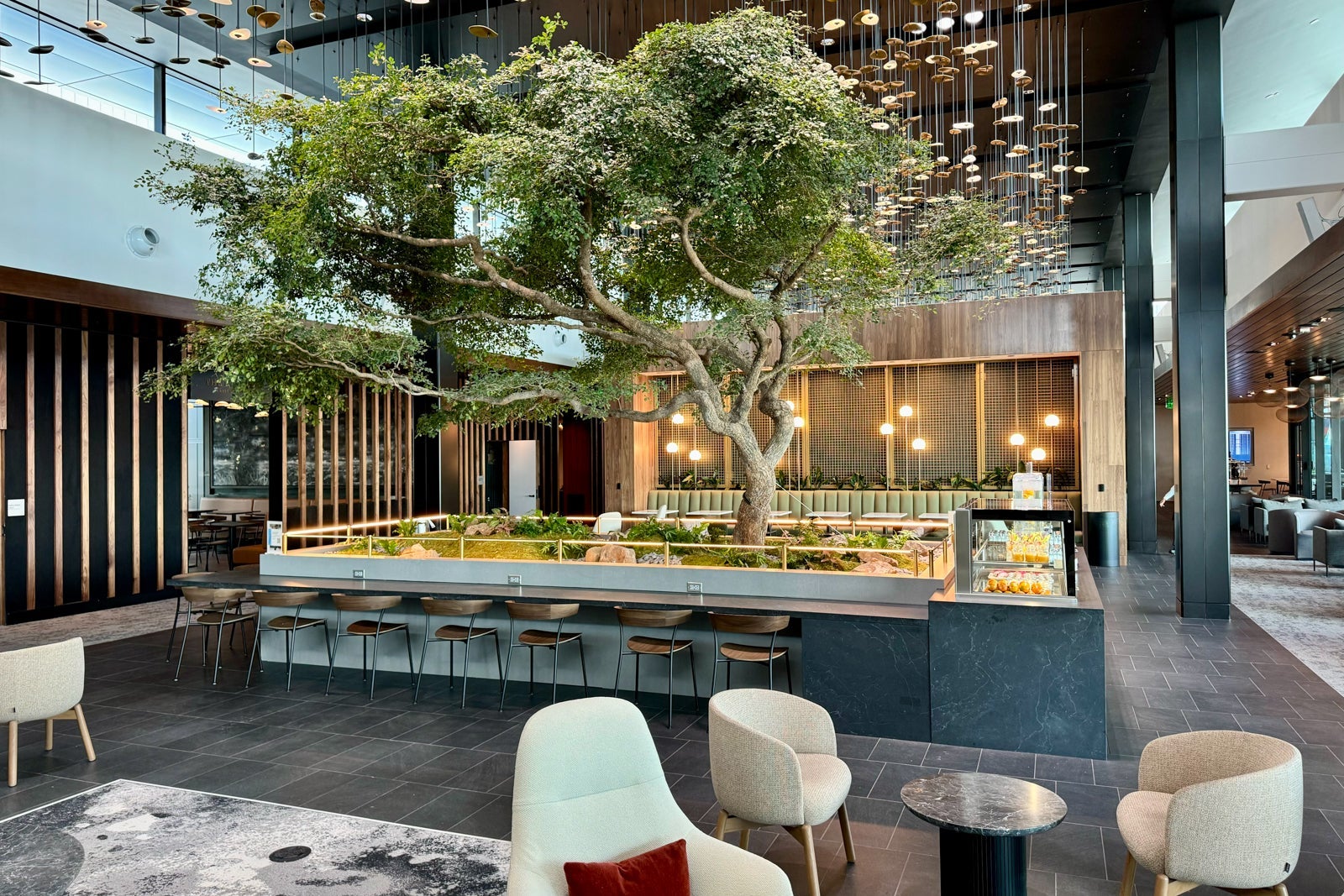 American Express Centurion Lounge Atlanta ATL