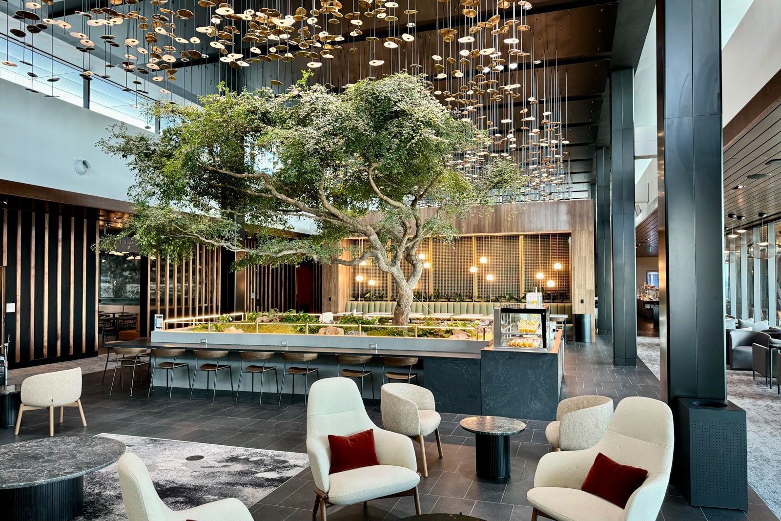 Iconic tree in the Centurion Lounge at Hartsfield-Jackson Atlanta International Airport