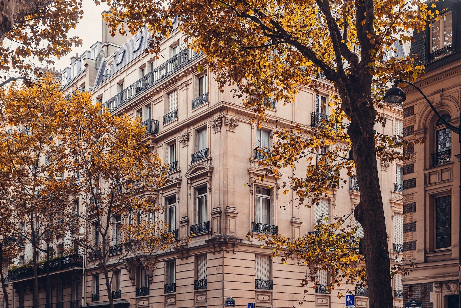 Treelined street in Europe