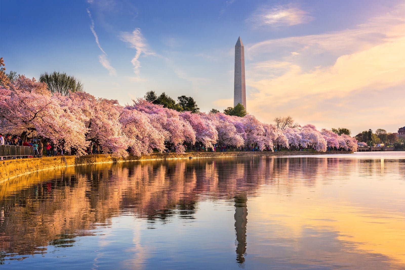 Washington DC in Spring