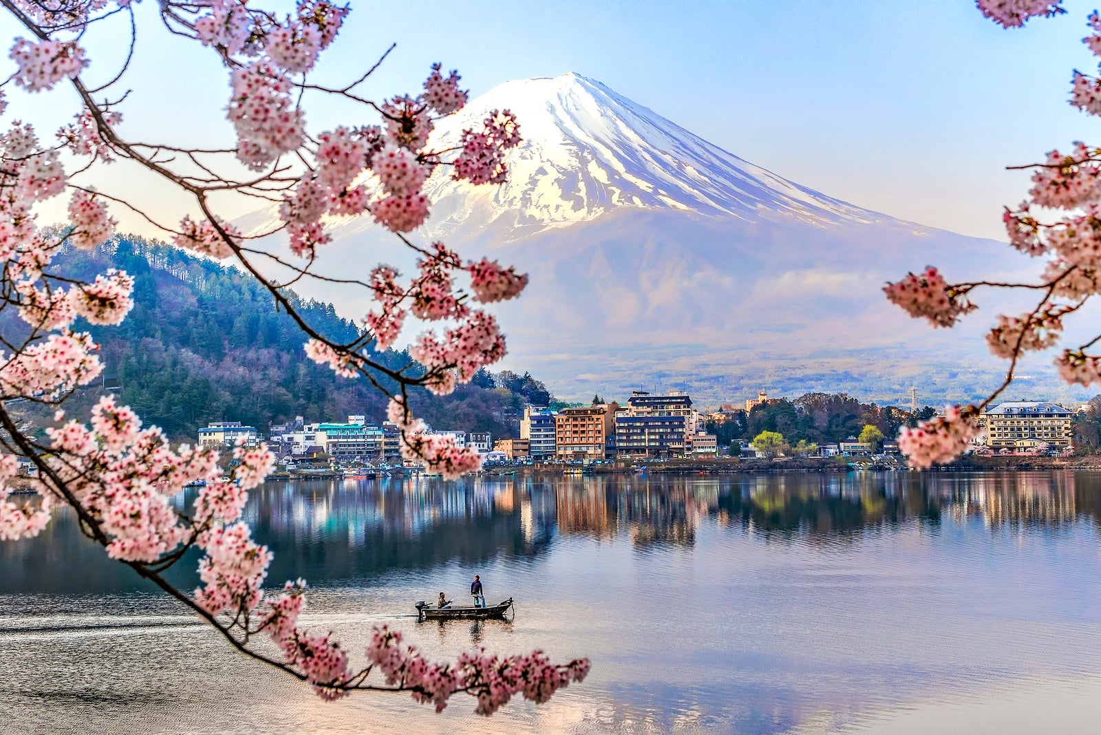 Cherry blossoms by lake in Japan