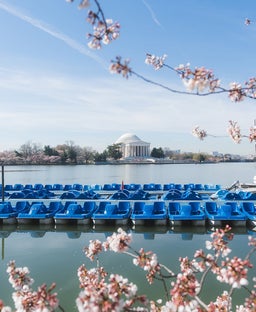 Peak bloom date announced: Best time to see DC’s cherry blossoms in 2026