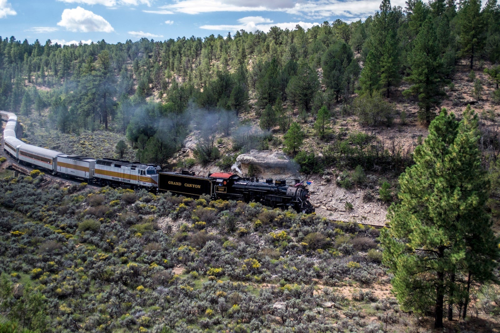train