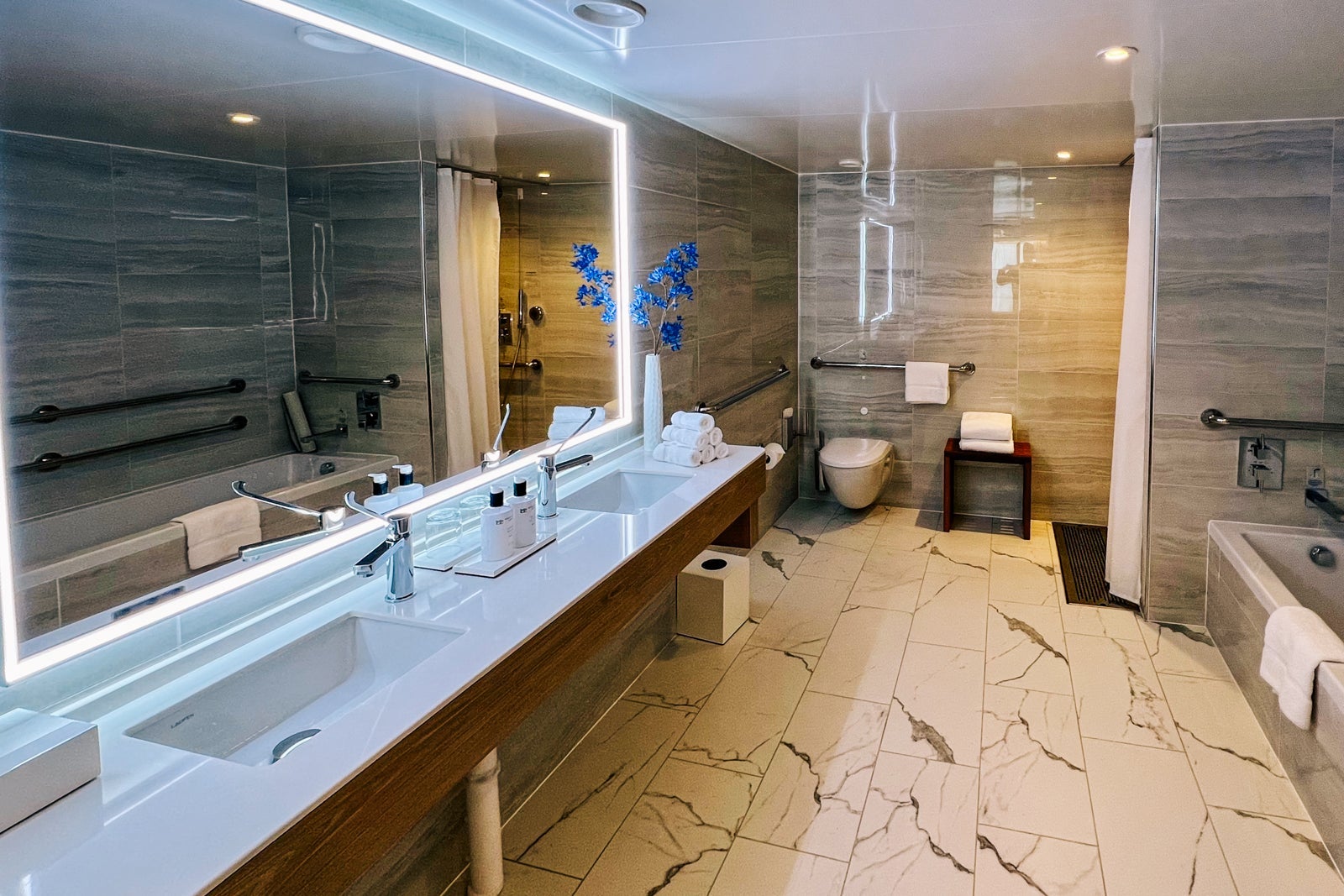 Signature Sky Suite bathroom on Sun Princess