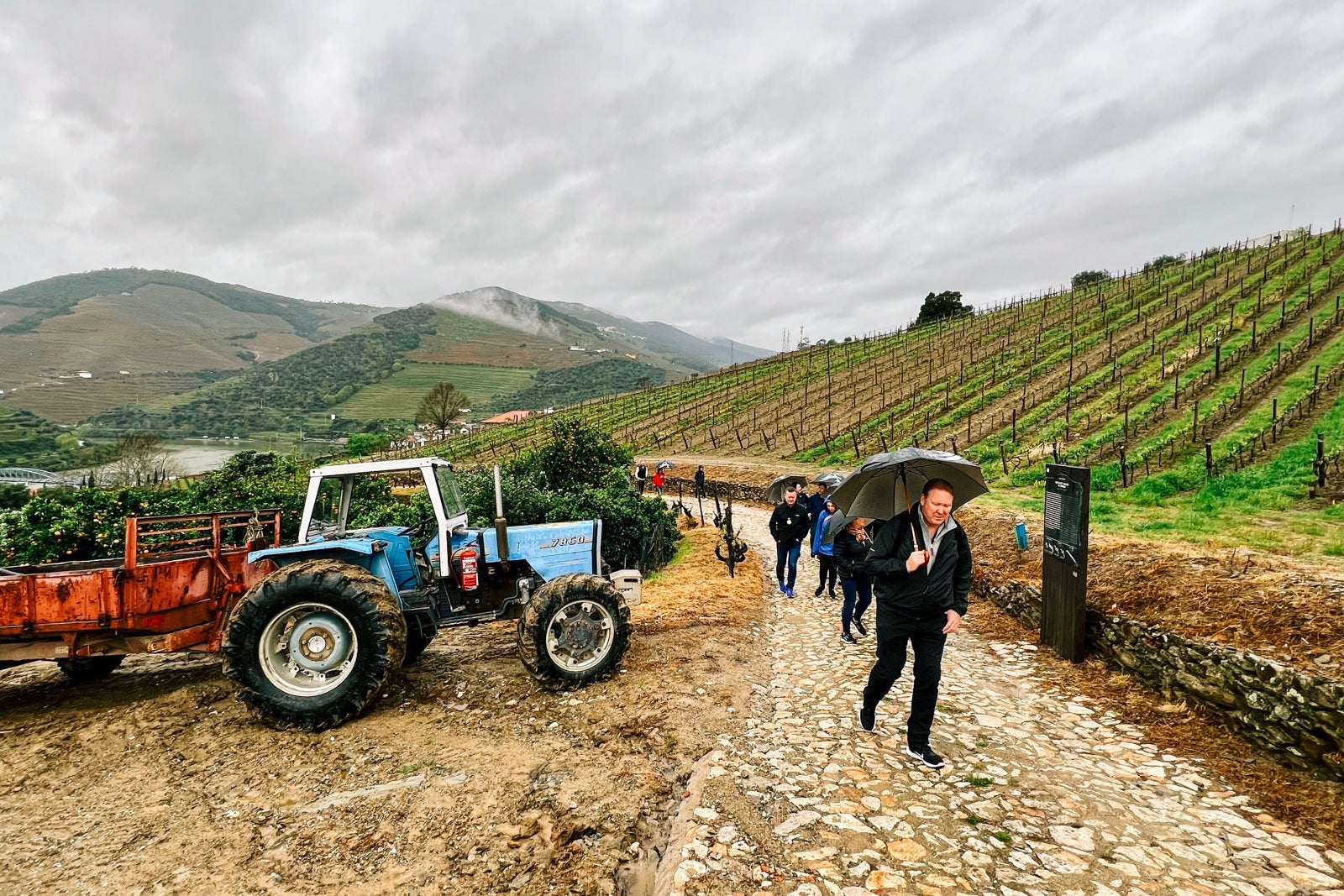 Avalon passengers hike in vineyards.