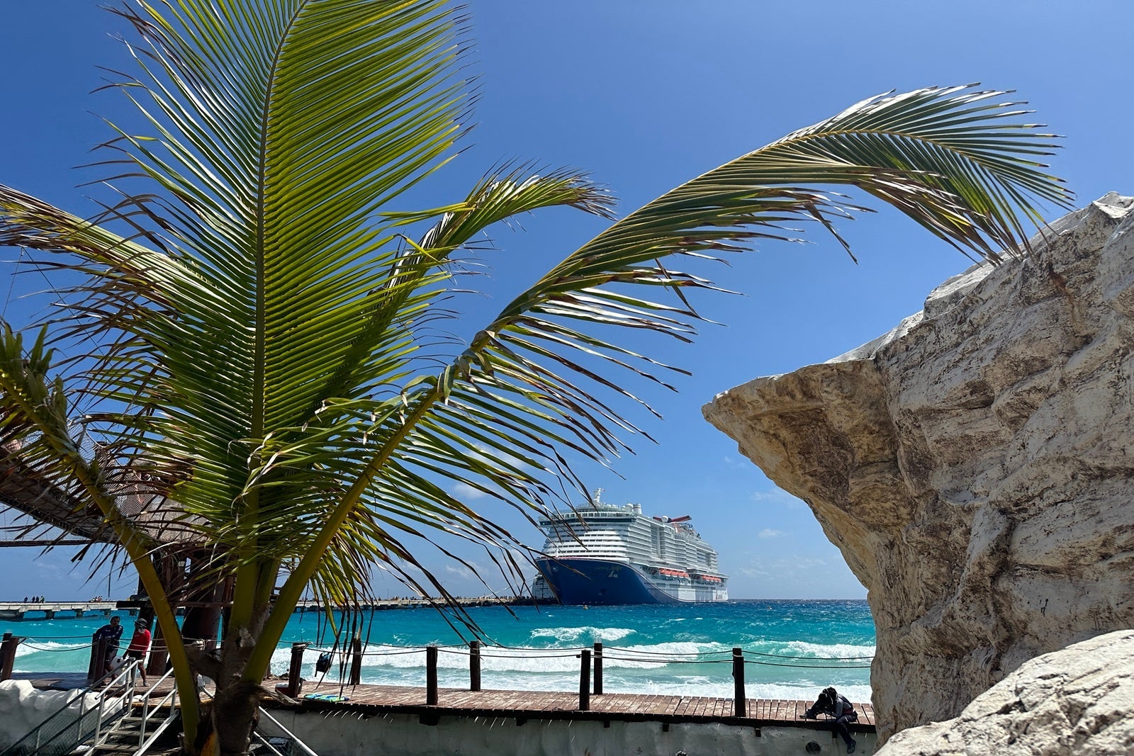 A cruise ship peeking through the visual space between a palm tree and a rock