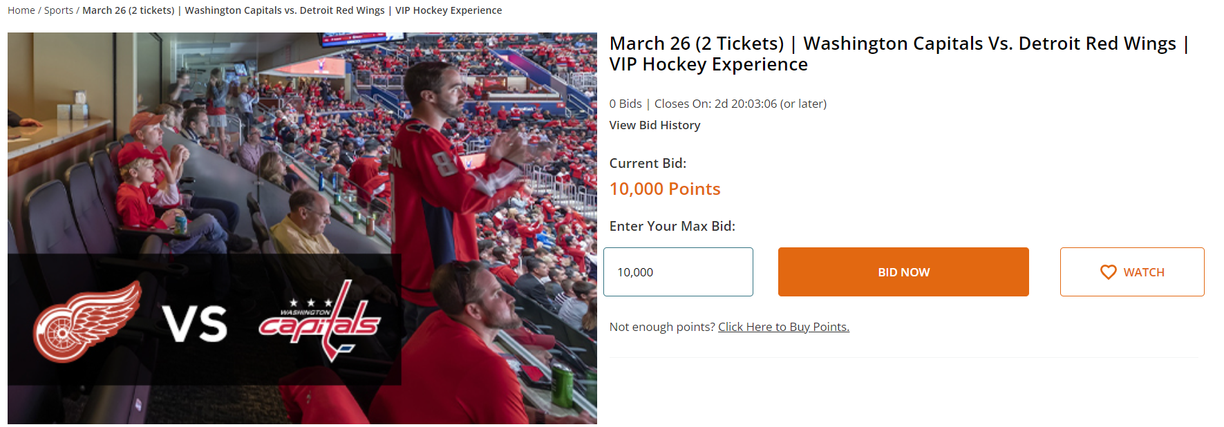 Experiences by Choice