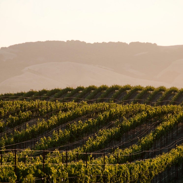 Delta is the latest airline to let you check wine for free